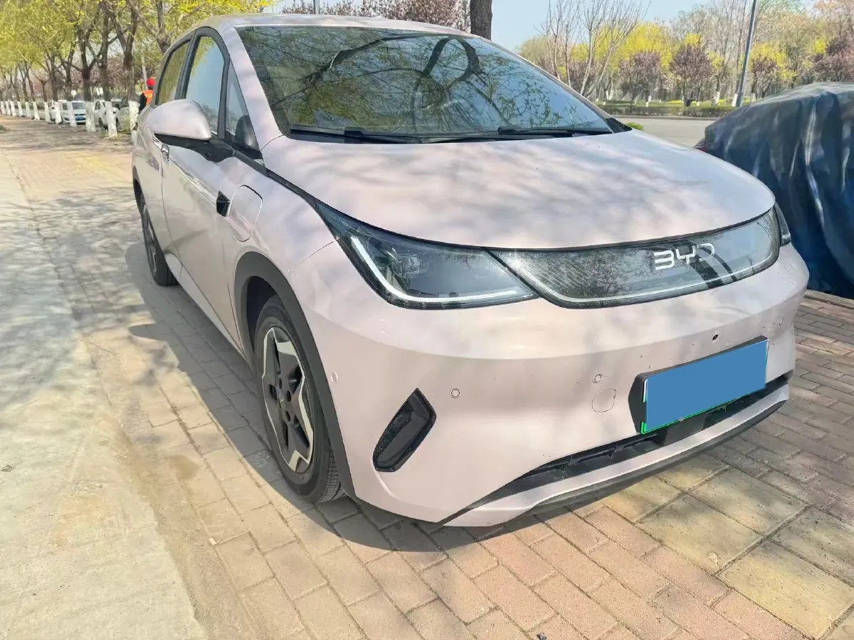 2025 BYD Dolphin BEV 45.12KWH,autocango,china used car exporter,china ev exporter,chinese used car exporter,chinese used ev exporter