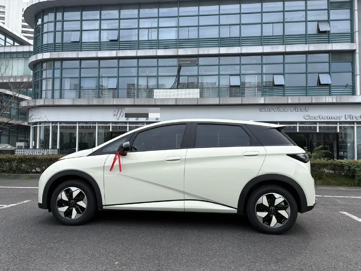 2025 BYD Dolphin BEV 44.928KWH,autocango,china used car exporter,china ev exporter,chinese used car exporter,chinese used ev exporter