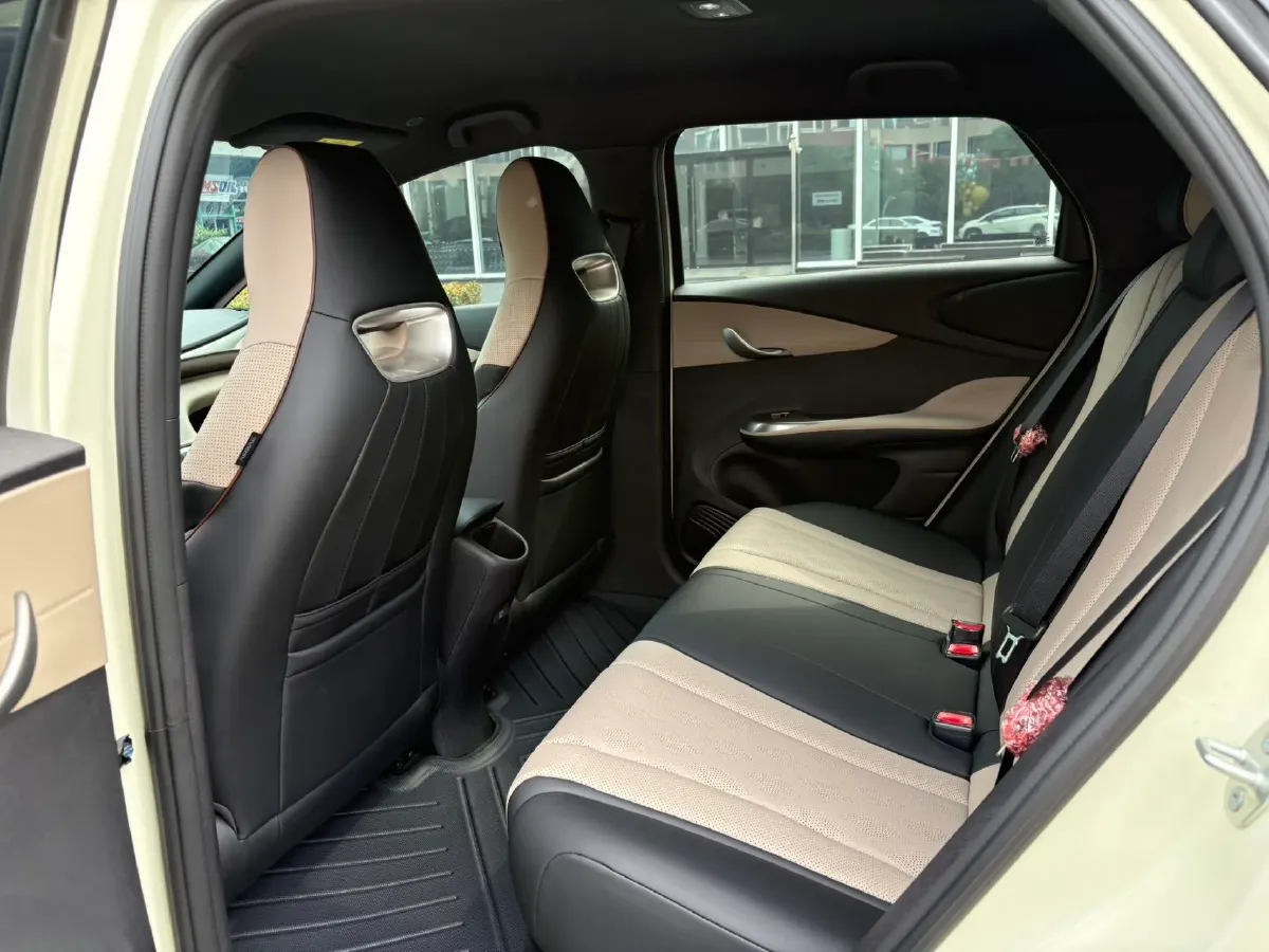 2025 BYD Dolphin BEV 44.928KWH,autocango,china used car exporter,china ev exporter,chinese used car exporter,chinese used ev exporter