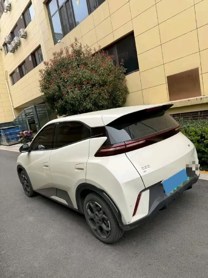2025 BYD Seagull BEV 30.08KWH,autocango,china used car exporter,china ev exporter,chinese used car exporter,chinese used ev exporter