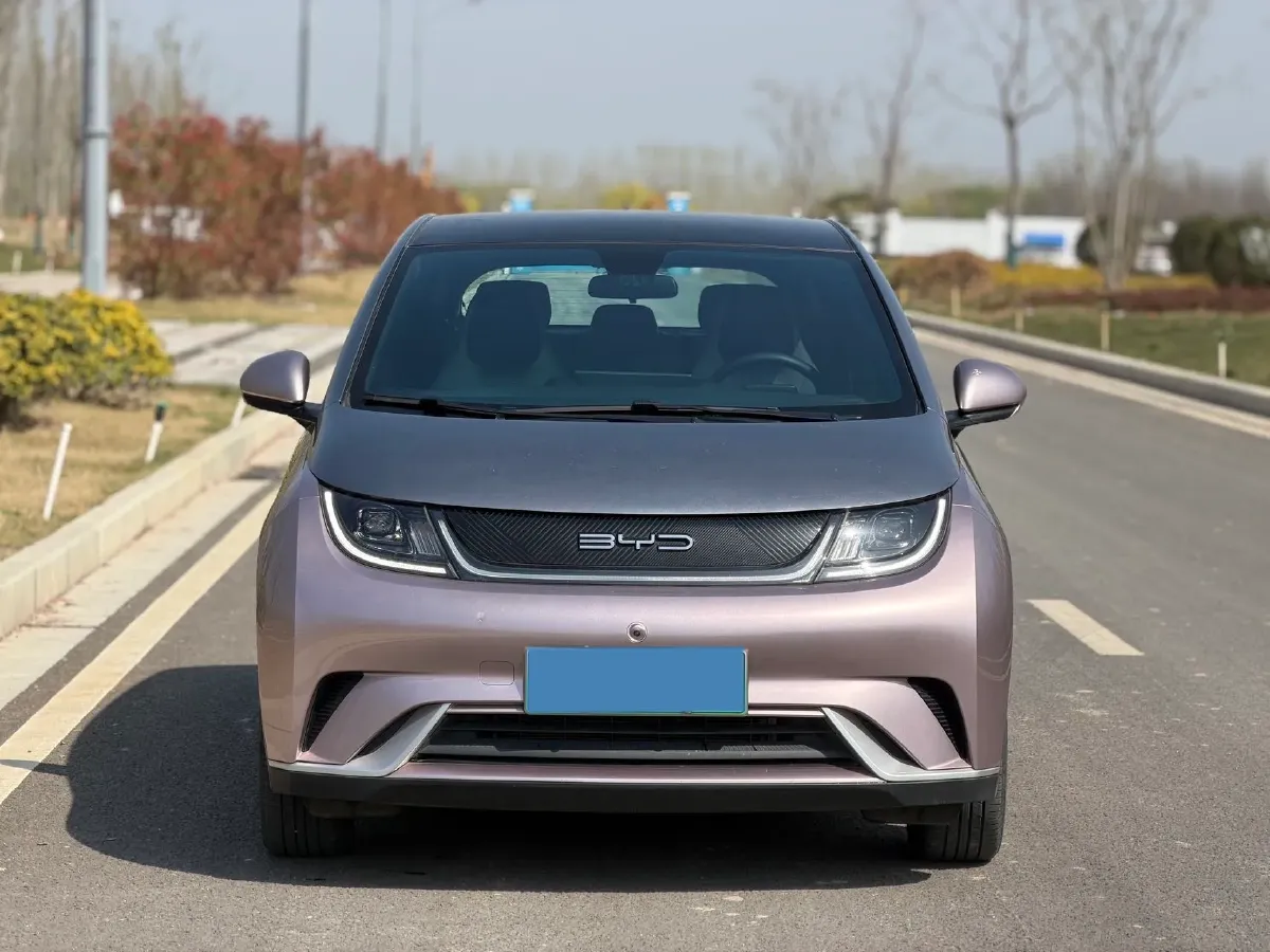 2021 BYD Yuan Pro BEV 50.1KWH,autocango,china used car exporter,china ev exporter,chinese used car exporter,chinese used ev exporter