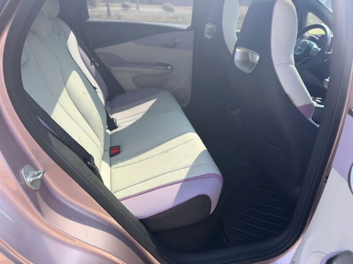 2021 BYD Yuan Pro BEV 50.1KWH,autocango,china used car exporter,china ev exporter,chinese used car exporter,chinese used ev exporter