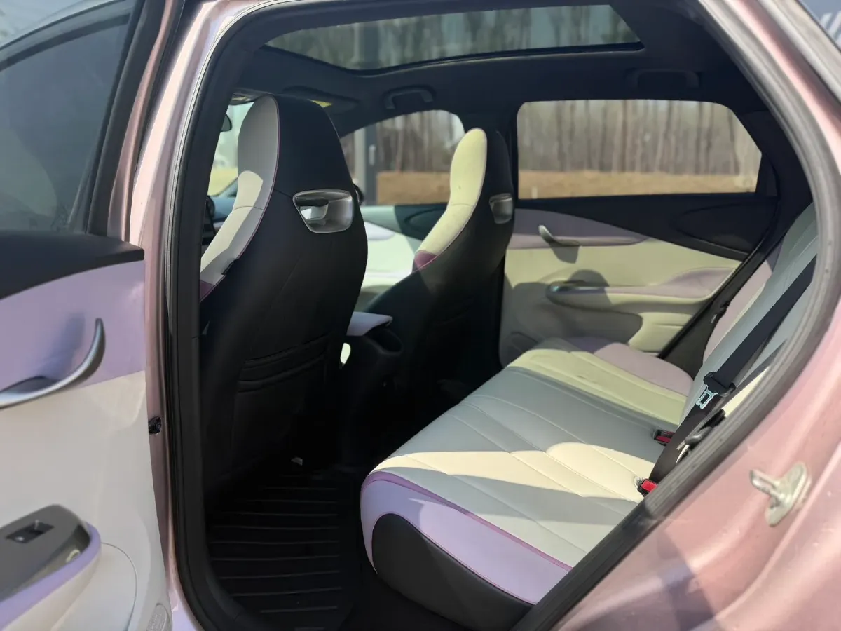 2021 BYD Yuan Pro BEV 50.1KWH,autocango,china used car exporter,china ev exporter,chinese used car exporter,chinese used ev exporter