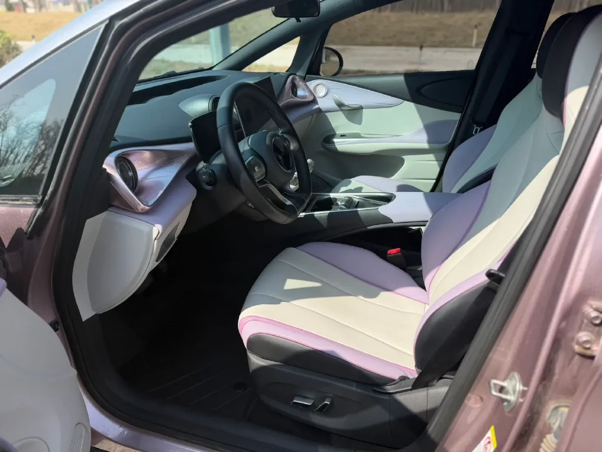 2021 BYD Yuan Pro BEV 50.1KWH,autocango,china used car exporter,china ev exporter,chinese used car exporter,chinese used ev exporter