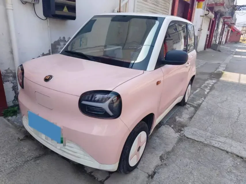 2024 ZD Rainbow BEV 17.3KWH,autocango,china used car exporter,china ev exporter,chinese used car exporter,chinese used ev exporter