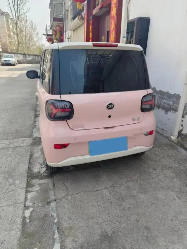 2024 ZD Rainbow BEV 17.3KWH,autocango,china used car exporter,china ev exporter,chinese used car exporter,chinese used ev exporter