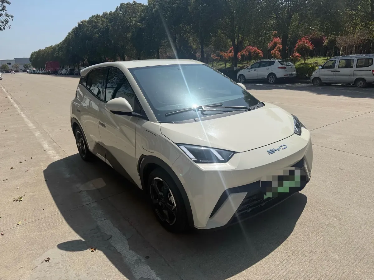 2023 BYD Seagull BEV 30.08KWH,autocango,china used car exporter,china ev exporter,chinese used car exporter,chinese used ev exporter