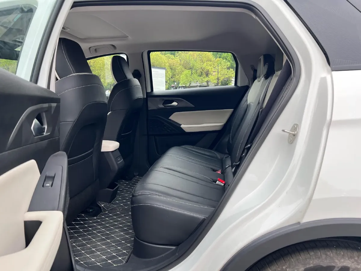 2023 Geometry E BEV 39.4KWH,autocango,china used car exporter,china ev exporter,chinese used car exporter,chinese used ev exporter