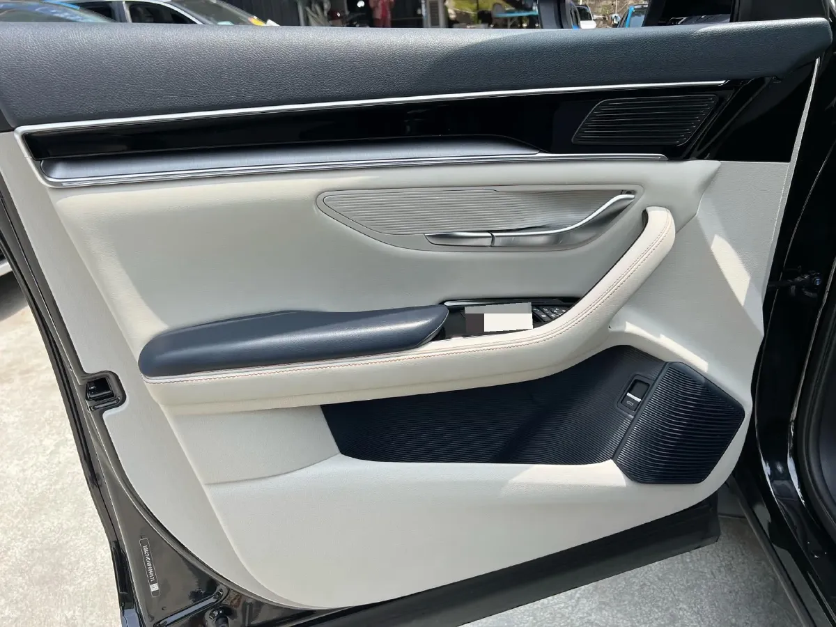 2021 BYD Qin BEV 53.56KWH,autocango,china used car exporter,china ev exporter,chinese used car exporter,chinese used ev exporter