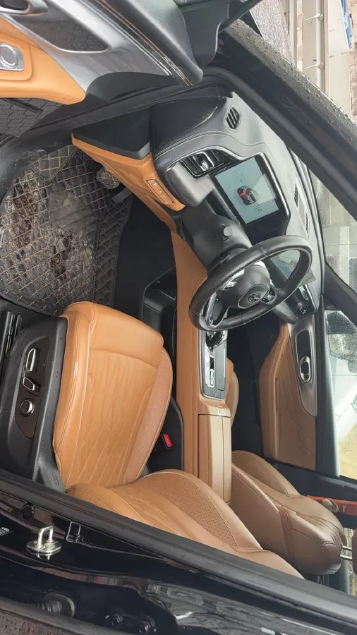 2024 GAC Trumpchi GS8 2.0T 252HP L4 8AT,autocango,china used car exporter,china ev exporter,chinese used car exporter,chinese used ev exporter