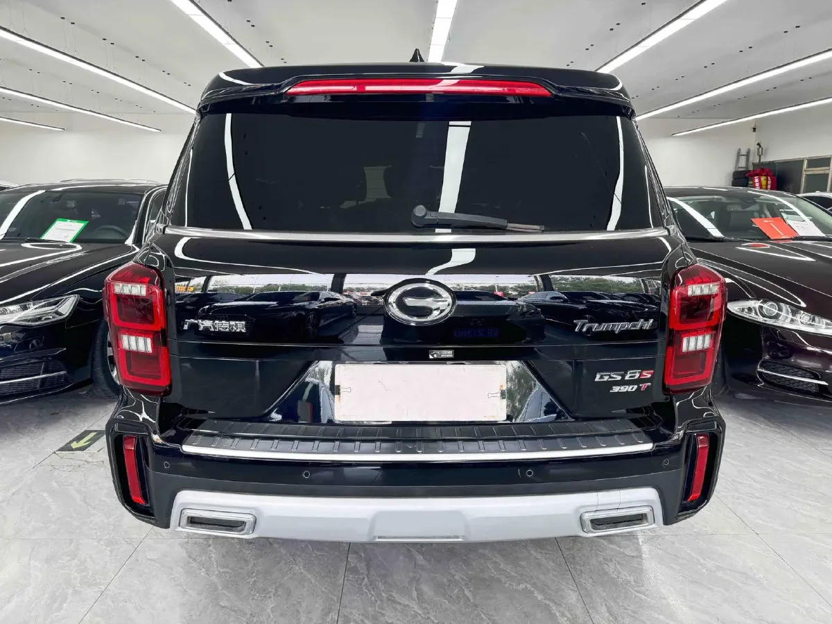 2020 GAC Trumpchi GS8 2.0T 252HP L4 6AT,autocango,china used car exporter,china ev exporter,chinese used car exporter,chinese used ev exporter