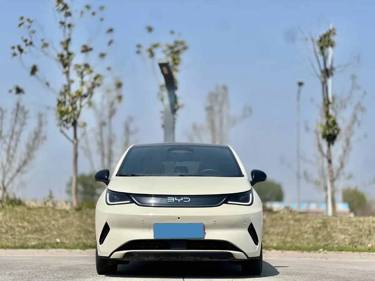2025 BYD Dolphin BEV 45.12KWH,autocango,china used car exporter,china ev exporter,chinese used car exporter,chinese used ev exporter