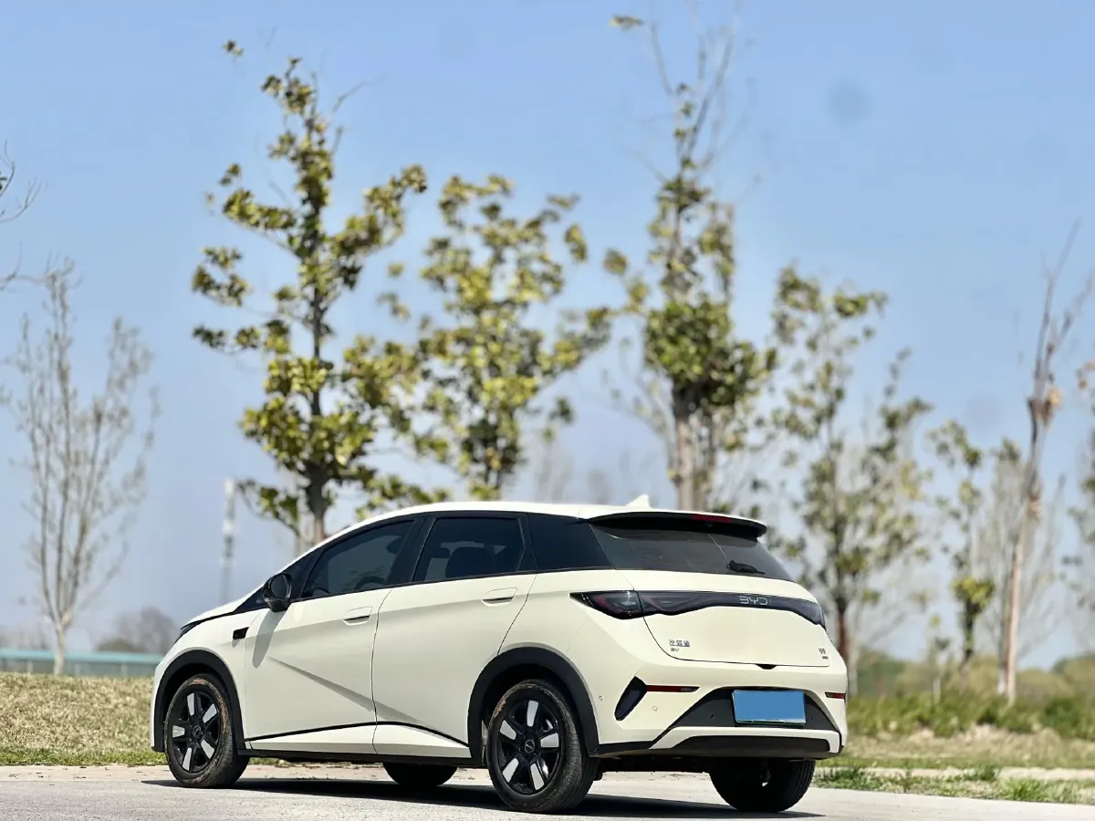 2025 BYD Dolphin BEV 45.12KWH,autocango,china used car exporter,china ev exporter,chinese used car exporter,chinese used ev exporter