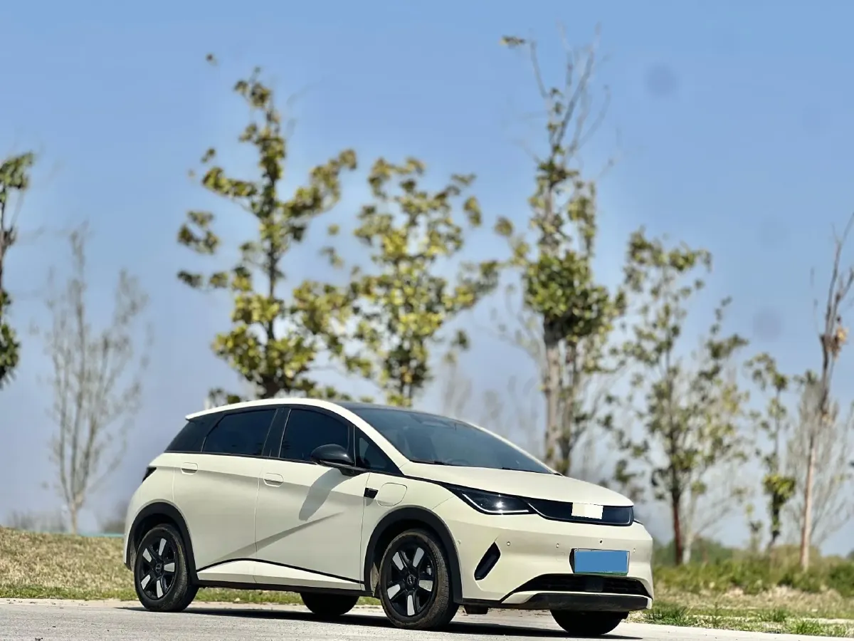 2025 BYD Dolphin BEV 45.12KWH,autocango,china used car exporter,china ev exporter,chinese used car exporter,chinese used ev exporter