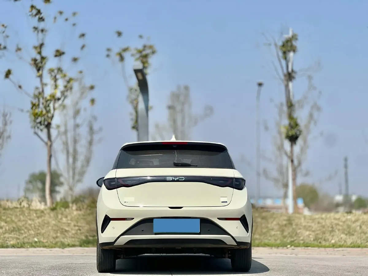 2025 BYD Dolphin BEV 45.12KWH,autocango,china used car exporter,china ev exporter,chinese used car exporter,chinese used ev exporter