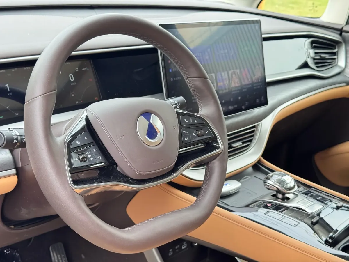 2024 Denza D9 1.5T 139HP L4 E-CVT PHEV 40KWH,autocango,china used car exporter,china ev exporter,chinese used car exporter,chinese used ev exporter