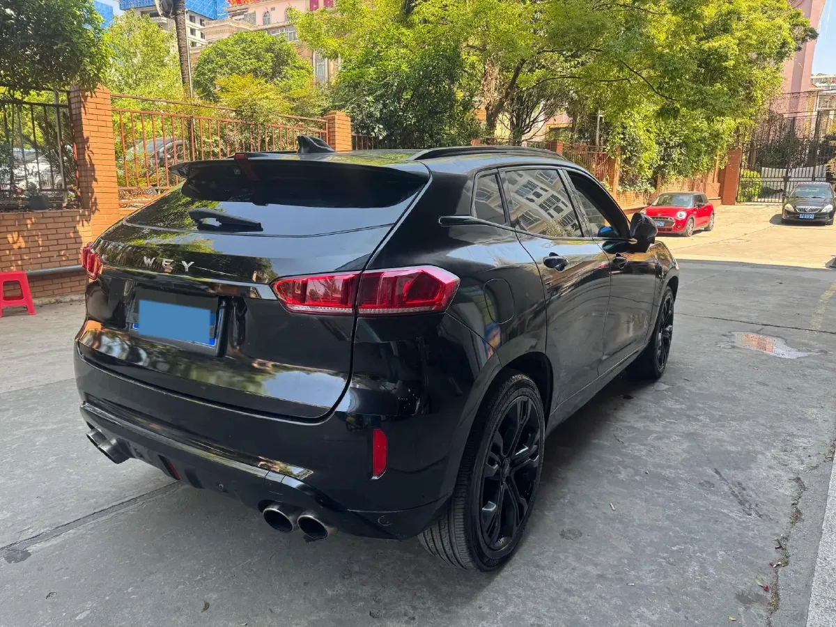 2017 WEY VV7 2.0T 234HP L4 7DCT,autocango,china used car exporter,china ev exporter,chinese used car exporter,chinese used ev exporter