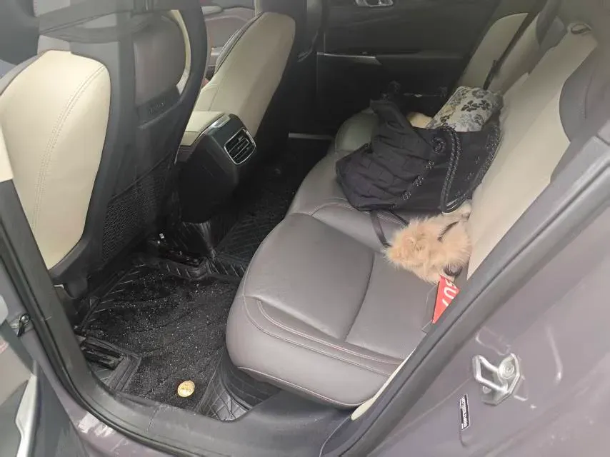 2020 LYNK&CO 02 1.5T 180HP L3 7DCT,autocango,china used car exporter,china ev exporter,chinese used car exporter,chinese used ev exporter