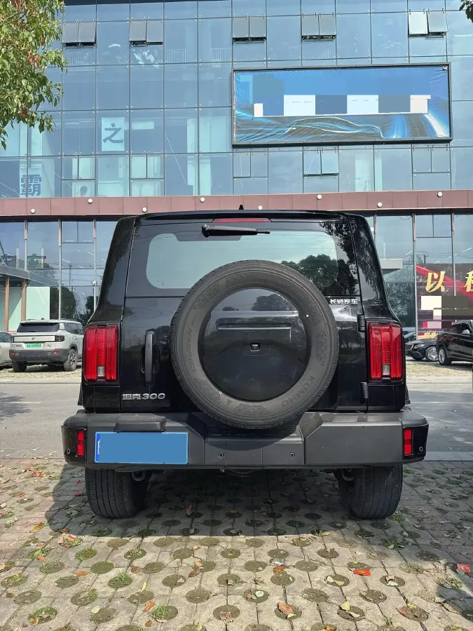 2024 Tank 300 2.0T 227HP L4 8AT,autocango,china used car exporter,china ev exporter,chinese used car exporter,chinese used ev exporter