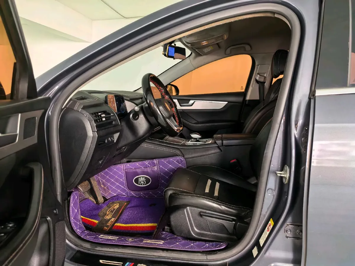 2019 BYD Qin Pro BEV 53.1KWH,autocango,china used car exporter,china ev exporter,chinese used car exporter,chinese used ev exporter