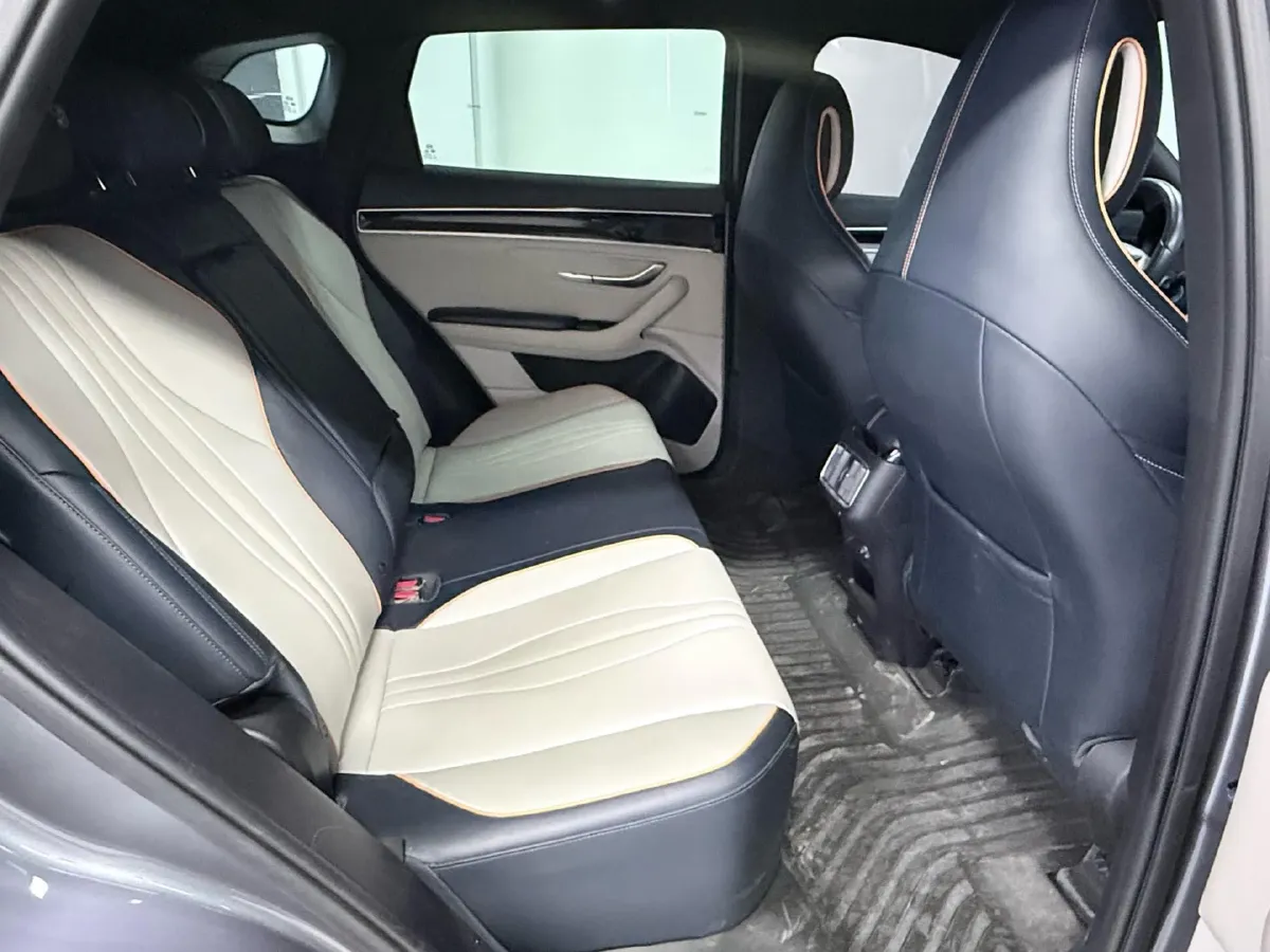 2021 BYD Qin BEV 53.56KWH,autocango,china used car exporter,china ev exporter,chinese used car exporter,chinese used ev exporter