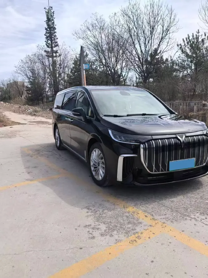 2024 Voyah Dream BEV 108.73KWH,autocango,china used car exporter,china ev exporter,chinese used car exporter,chinese used ev exporter