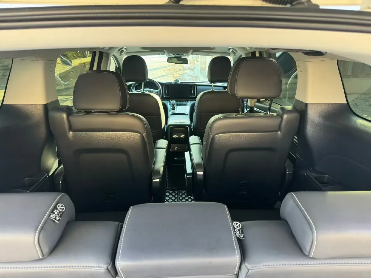 2023 GAC Trumpchi M8 2.0T 252HP L4 8AT,autocango,china used car exporter,china ev exporter,chinese used car exporter,chinese used ev exporter