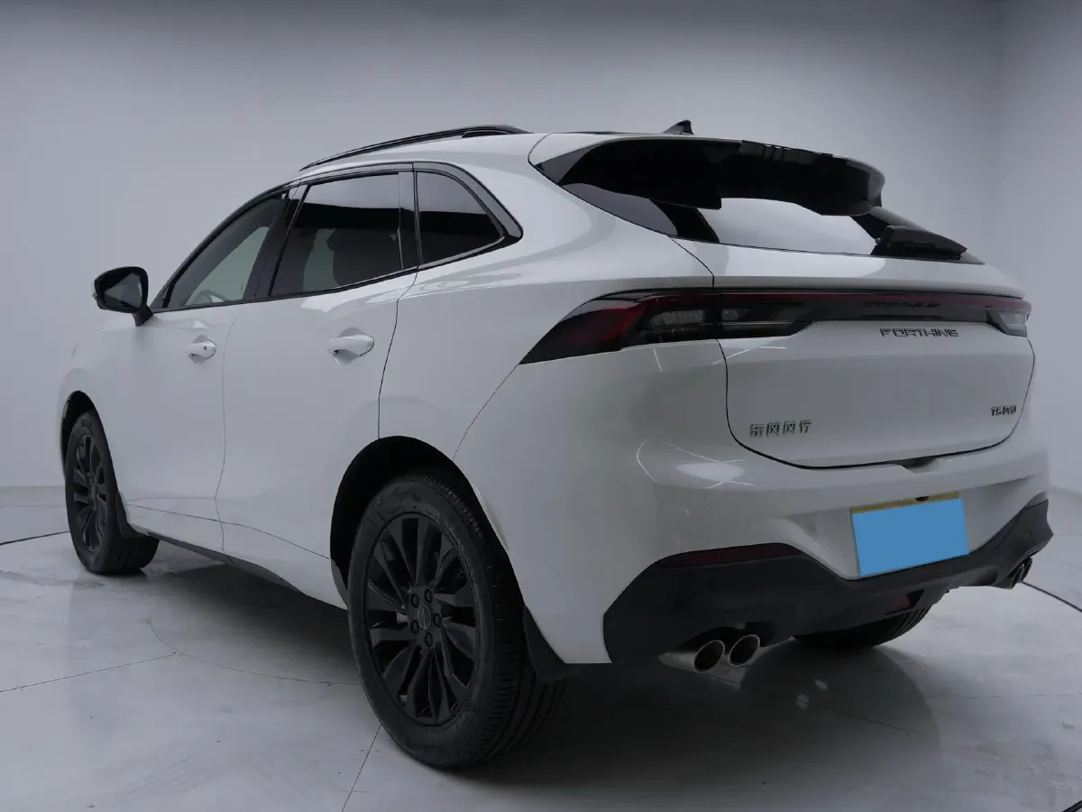 2021 DongFeng Forthing T5 EVO 1.5T 197HP L4 7DCT,autocango,china used car exporter,china ev exporter,chinese used car exporter,chinese used ev exporter