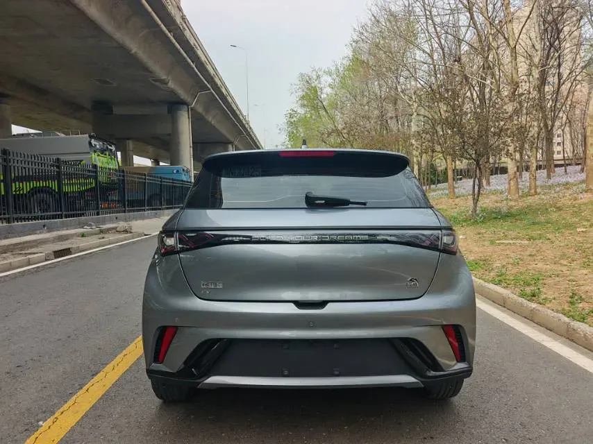 2023 BYD Dolphin BEV 44.928KWH,autocango,china used car exporter,china ev exporter,chinese used car exporter,chinese used ev exporter