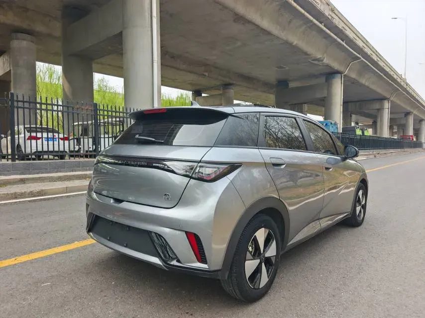 2023 BYD Dolphin BEV 44.928KWH,autocango,china used car exporter,china ev exporter,chinese used car exporter,chinese used ev exporter