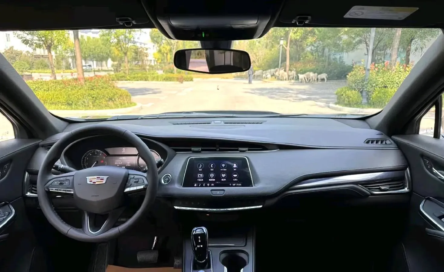 2022 Cadillac XT4 2.0T 237HP L4 9AT,autocango,china used car exporter,china ev exporter,chinese used car exporter,chinese used ev exporter