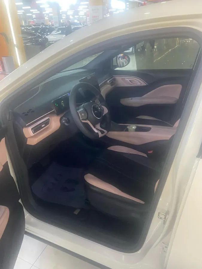 2024 BYD Seagull BEV 30.08KWH,autocango,china used car exporter,china ev exporter,chinese used car exporter,chinese used ev exporter