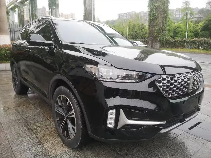 2021 WEY VV6 2.0T 227HP L4 7DCT,autocango,china used car exporter,china ev exporter,chinese used car exporter,chinese used ev exporter