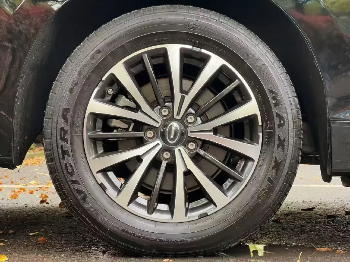 2023 GAC Trumpchi M8 2.0T 252HP L4 8AT,autocango,china used car exporter,china ev exporter,chinese used car exporter,chinese used ev exporter