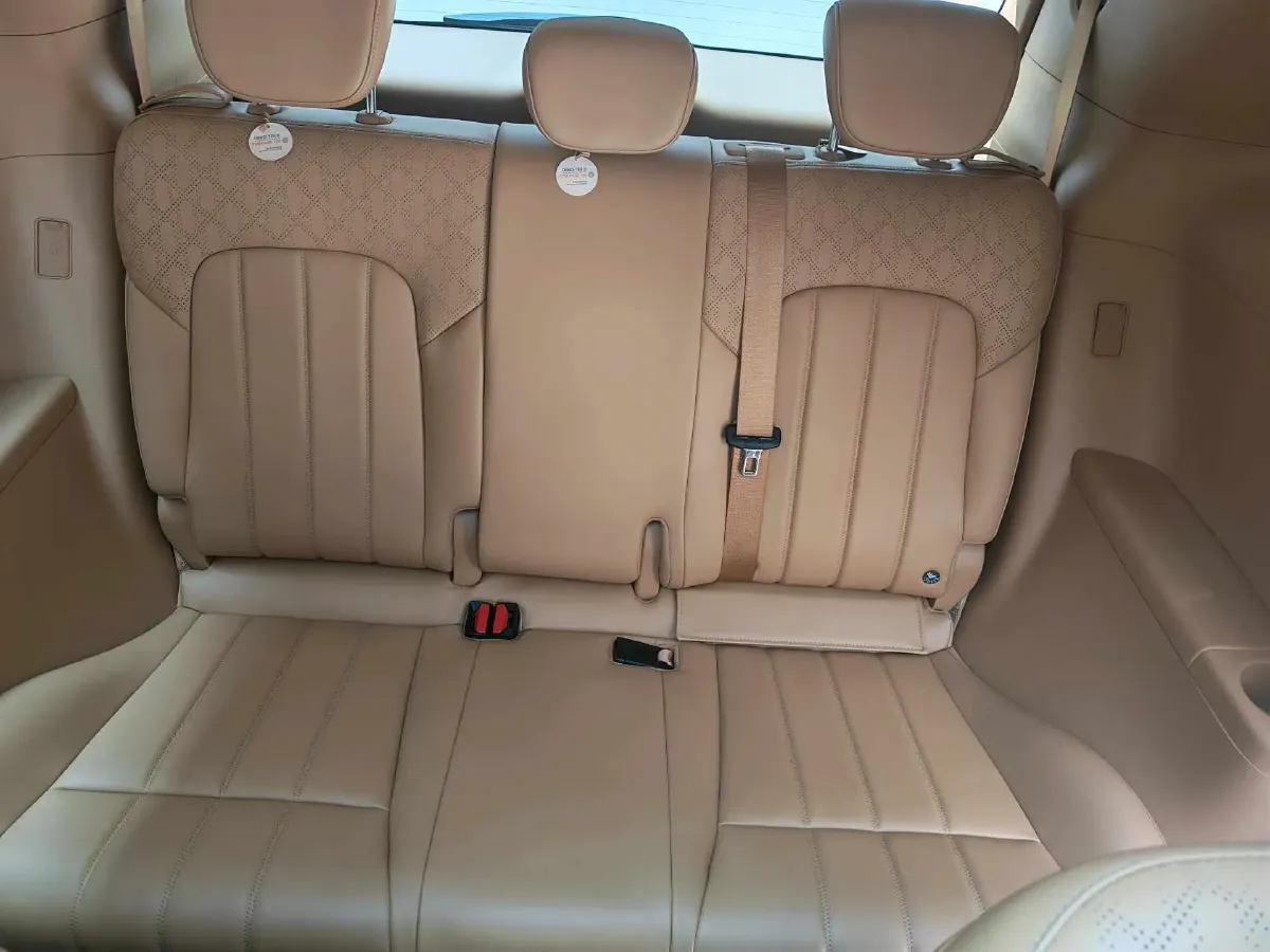 2024 Voyah Dream 1.5T 150HP L4 PHEV 43KWH,autocango,china used car exporter,china ev exporter,chinese used car exporter,chinese used ev exporter