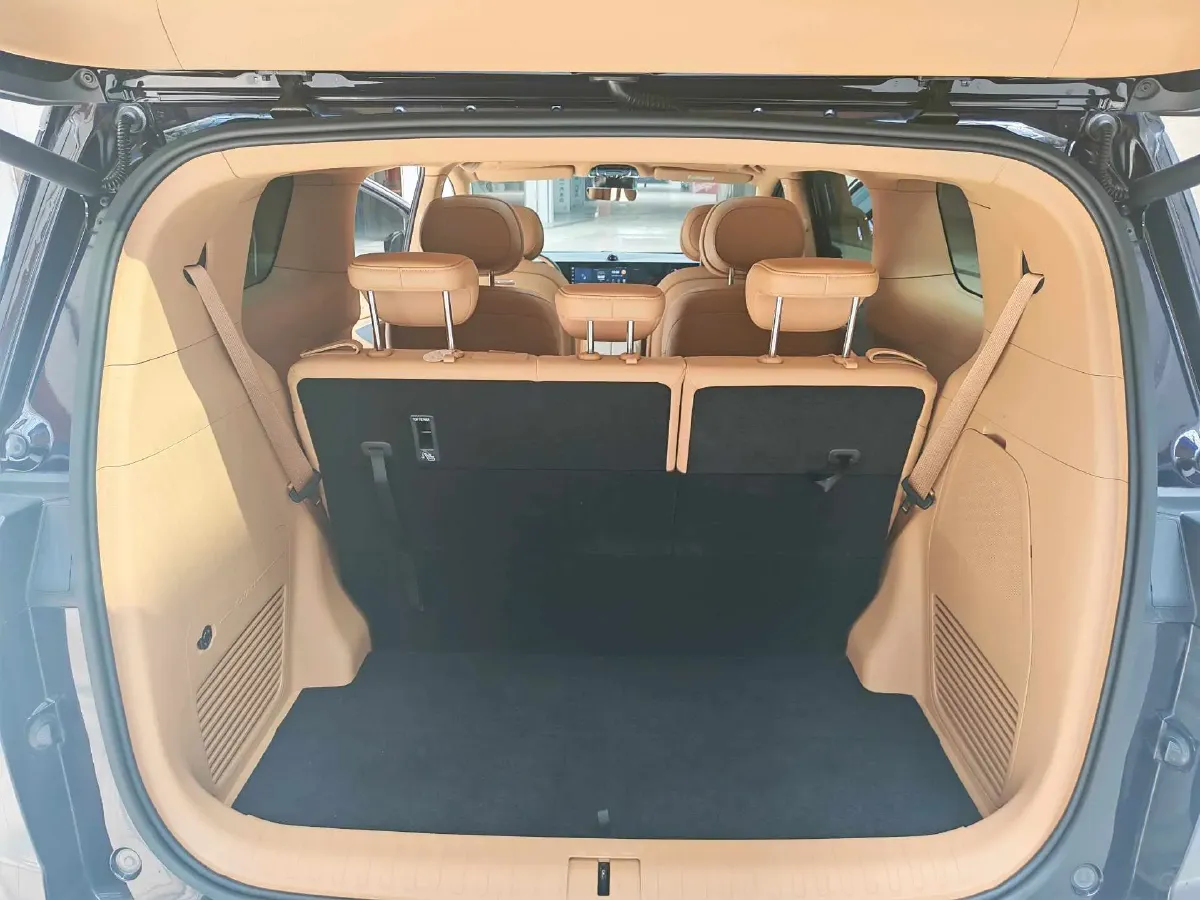 2024 Voyah Dream 1.5T 150HP L4 PHEV 43KWH,autocango,china used car exporter,china ev exporter,chinese used car exporter,chinese used ev exporter