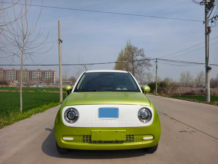 2019 Ora BlackCat BEV 28.5KWH,autocango,china used car exporter,china ev exporter,chinese used car exporter,chinese used ev exporter