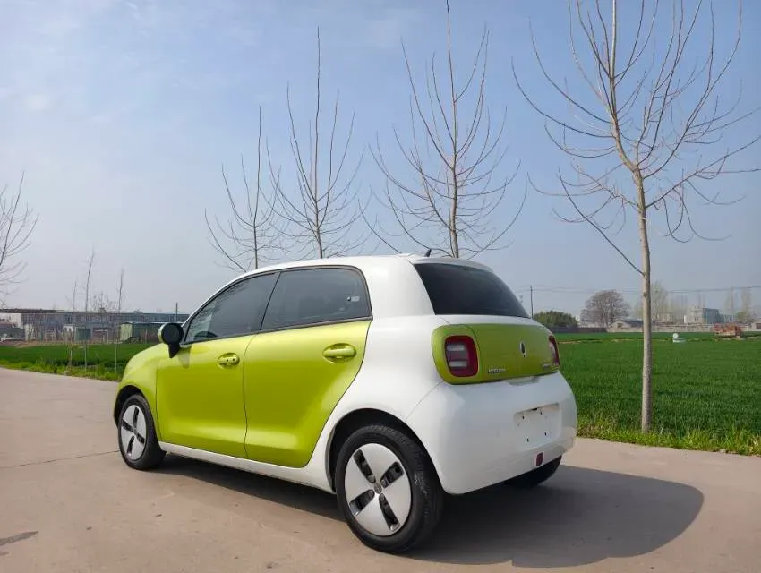 2019 Ora BlackCat BEV 28.5KWH,autocango,china used car exporter,china ev exporter,chinese used car exporter,chinese used ev exporter