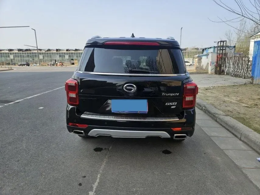 2017 GAC Trumpchi GS8 2.0T 201HP L4 6AT,autocango,china used car exporter,china ev exporter,chinese used car exporter,chinese used ev exporter