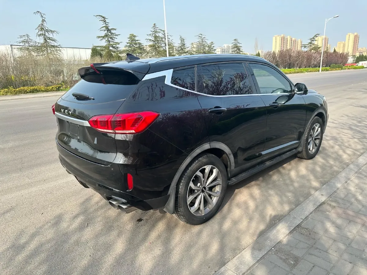 2019 WEY VV6 2.0T 224HP L4 7DCT,autocango,china used car exporter,china ev exporter,chinese used car exporter,chinese used ev exporter