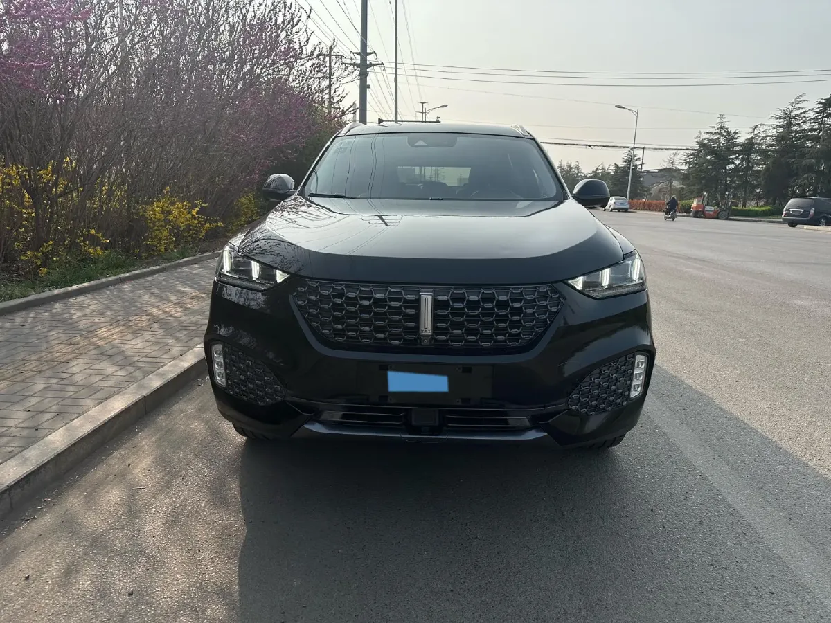 2019 WEY VV6 2.0T 224HP L4 7DCT,autocango,china used car exporter,china ev exporter,chinese used car exporter,chinese used ev exporter