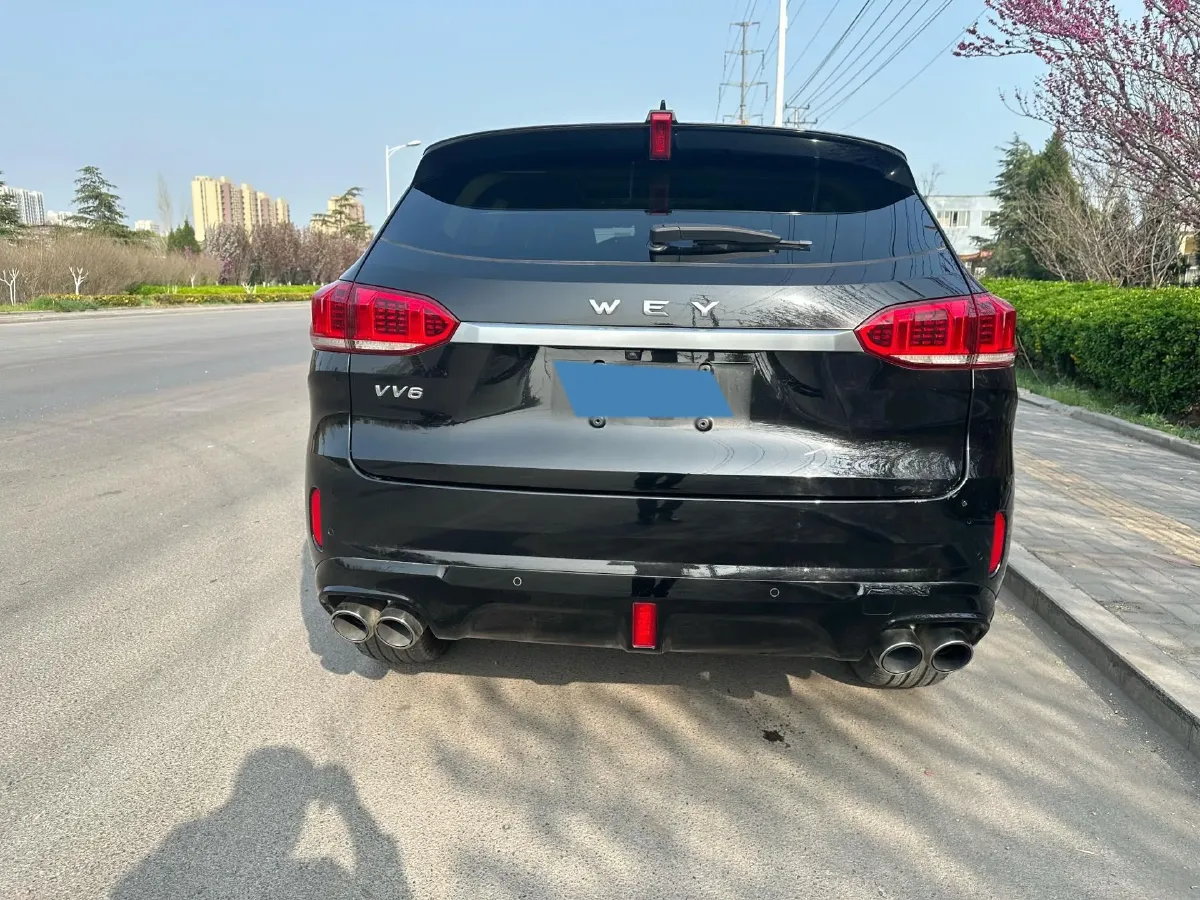 2019 WEY VV6 2.0T 224HP L4 7DCT,autocango,china used car exporter,china ev exporter,chinese used car exporter,chinese used ev exporter