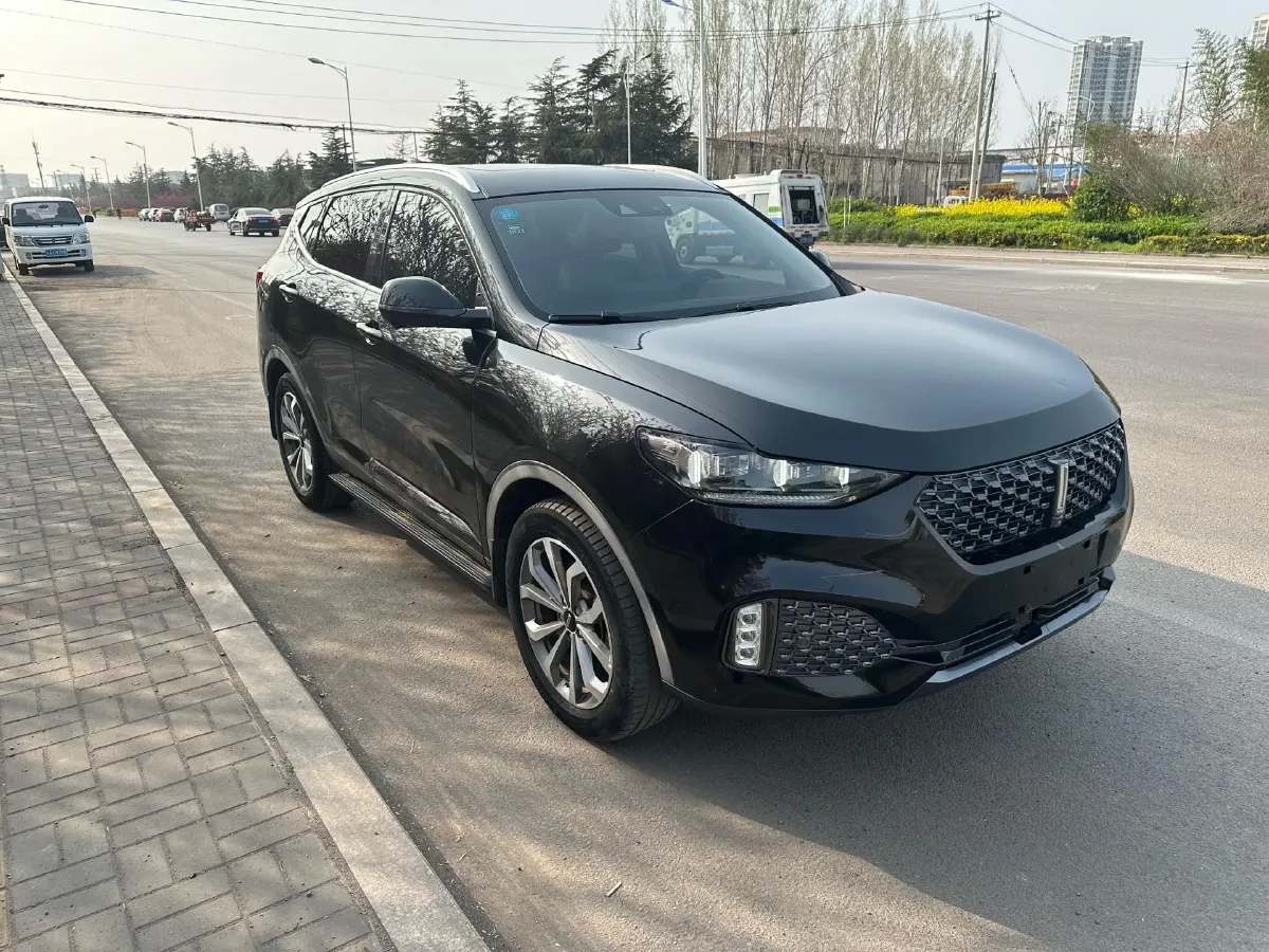 2019 WEY VV6 2.0T 224HP L4 7DCT,autocango,china used car exporter,china ev exporter,chinese used car exporter,chinese used ev exporter