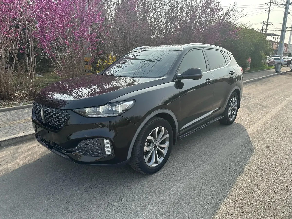 2019 WEY VV6 2.0T 224HP L4 7DCT,autocango,china used car exporter,china ev exporter,chinese used car exporter,chinese used ev exporter