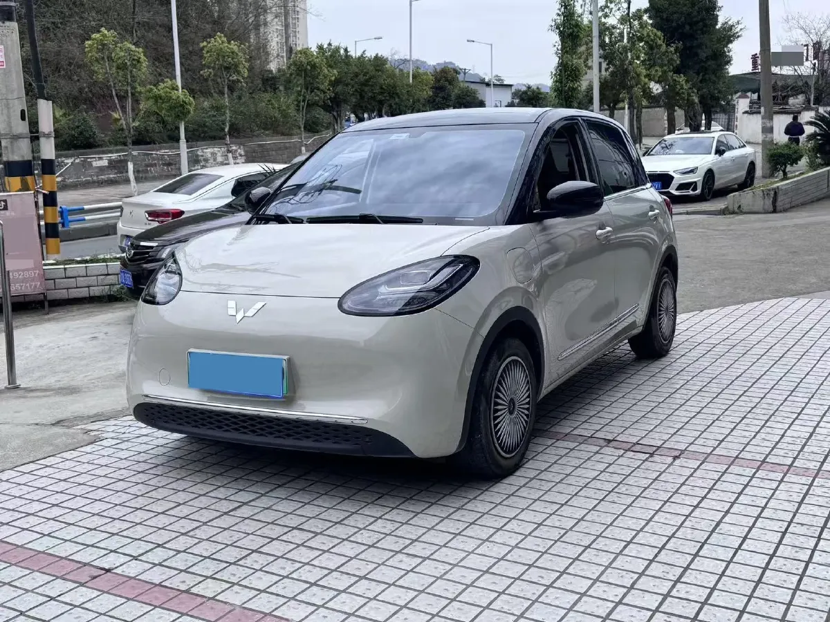 2024 WuLing BinGuo BEV 31.9KWH,autocango,china used car exporter,china ev exporter,chinese used car exporter,chinese used ev exporter
