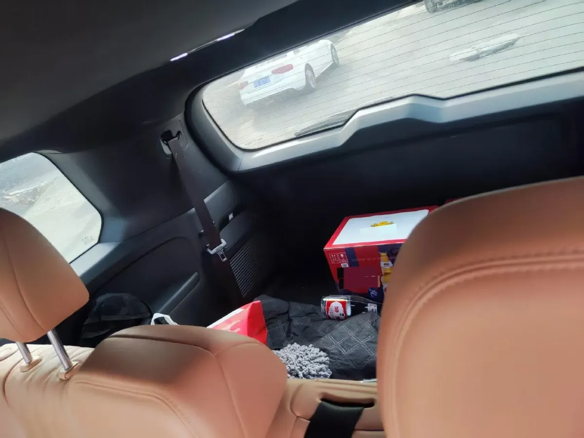 2024 GAC Trumpchi GS8 2.0T 252HP L4 8AT,autocango,china used car exporter,china ev exporter,chinese used car exporter,chinese used ev exporter