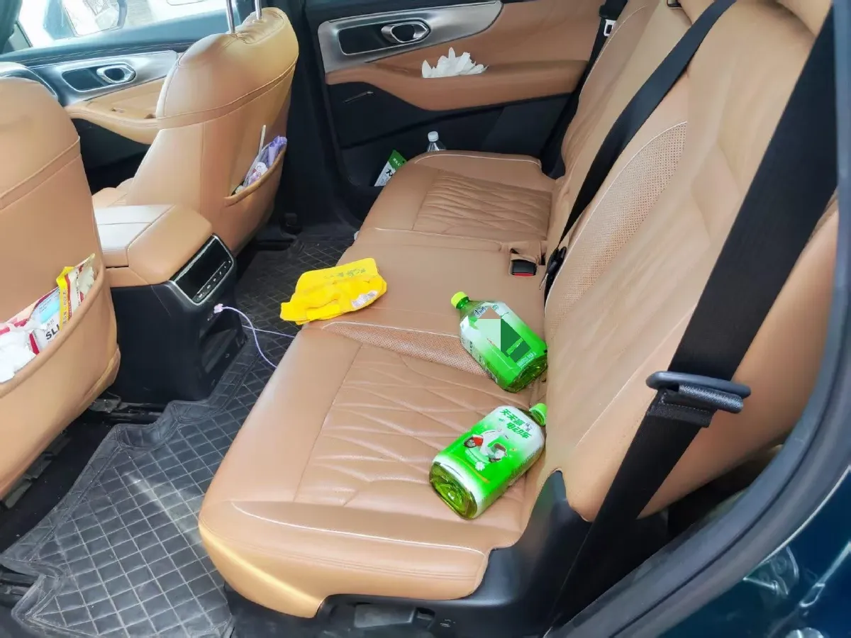 2024 GAC Trumpchi GS8 2.0T 252HP L4 8AT,autocango,china used car exporter,china ev exporter,chinese used car exporter,chinese used ev exporter