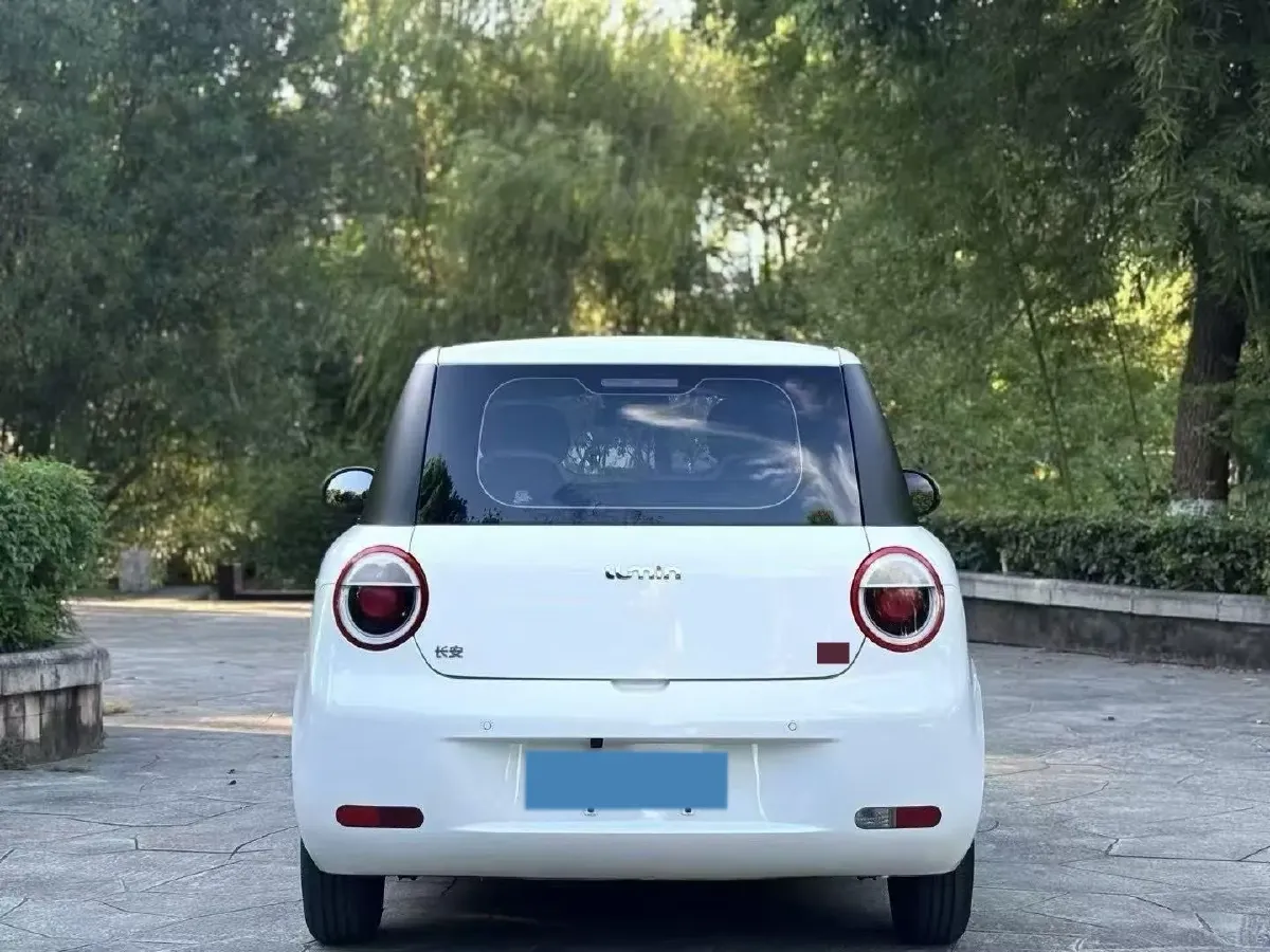 2024 ChangAn QiYuan Lumin BEV 17.65KWH,autocango,china used car exporter,china ev exporter,chinese used car exporter,chinese used ev exporter