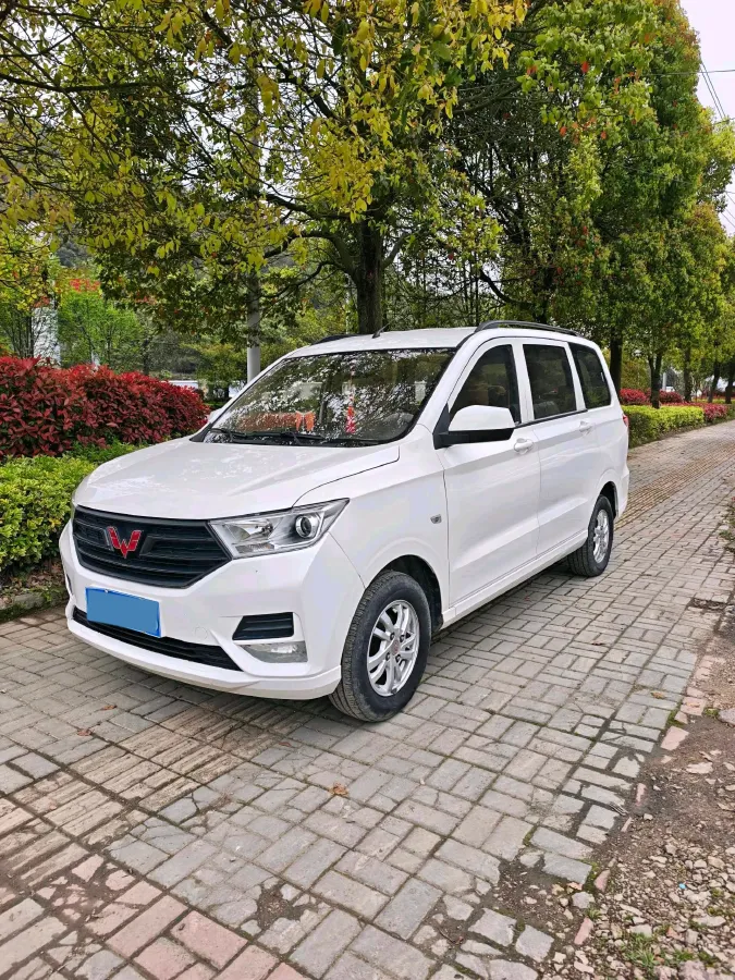 2019 WuLing HongGuang 1.5L 105HP L4 5MT,autocango,china used car exporter,china ev exporter,chinese used car exporter,chinese used ev exporter