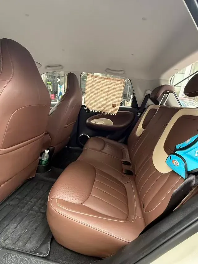 2023 WuLing BinGuo BEV 37.9KWH,autocango,china used car exporter,china ev exporter,chinese used car exporter,chinese used ev exporter